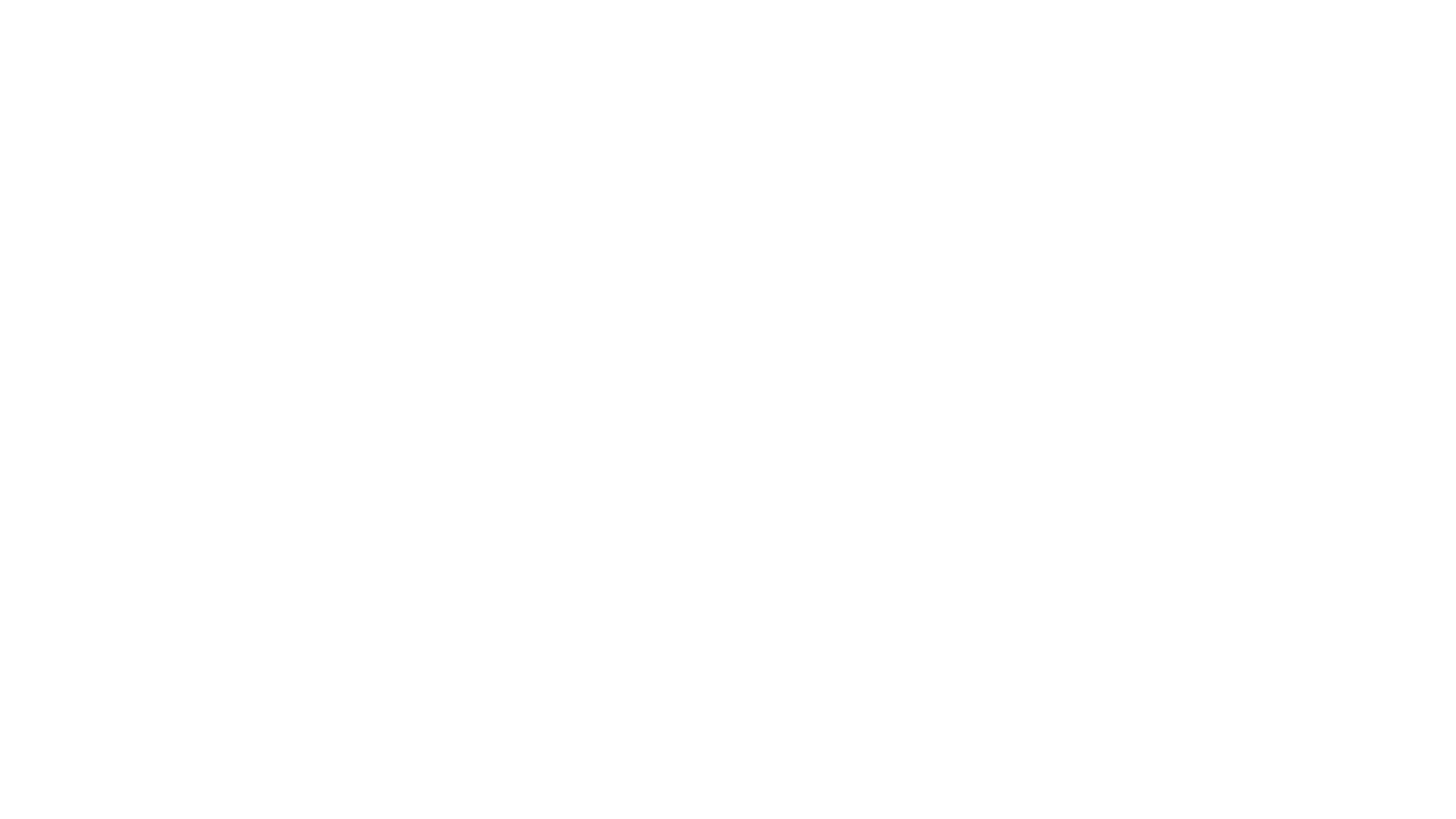 SAPIAN biography